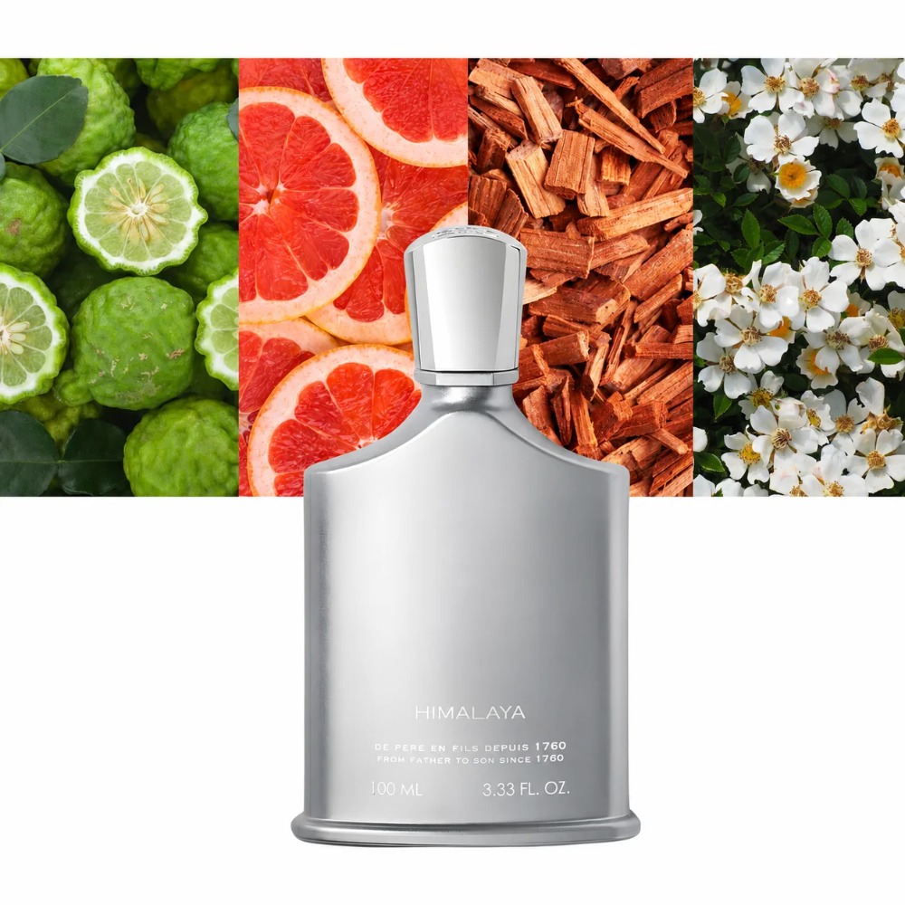 Perfume Aventus para Homens 10 - Perfume Fresh Fragrance avaliação e preço