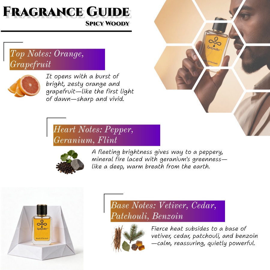 Colônia Masculina Premium de L - Perfume The Fragrance avaliação e preço